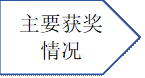 主要获奖情况